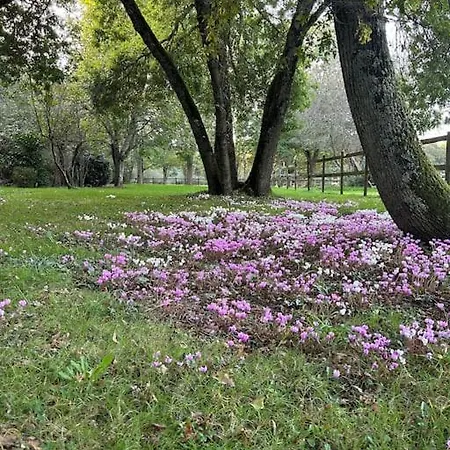 Ferienhaus Demeure La Lande Fleurie *