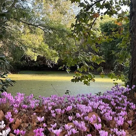 Ferienhaus Demeure La Lande Fleurie *